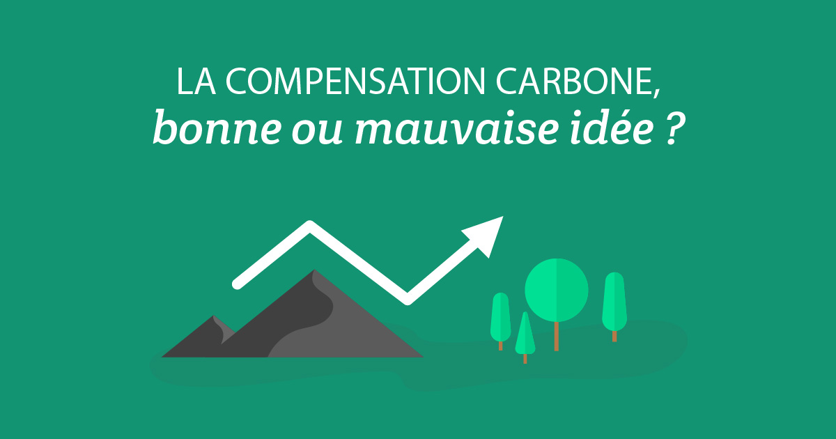 La compensation carbone, bonne ou mauvaise idée ?